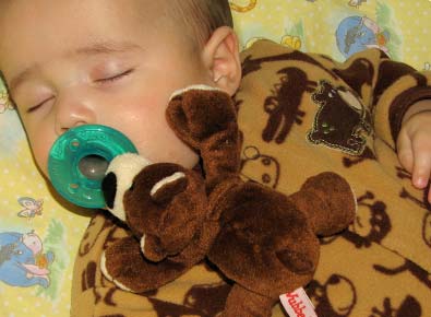Photo: Brown Bear with baby