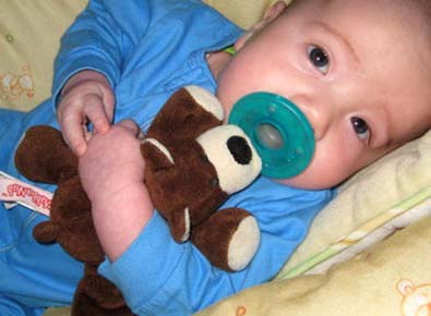 Photo: Brown Bear with baby