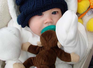 Photo: Monkey with Baby