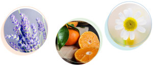 Getting to Know Your Essential Oils