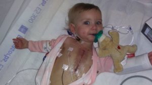 Evalynns Journey Wubbanub