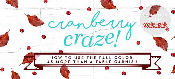 Cranberry Craze: How to Use the Fall Color as More than a Table Garnish