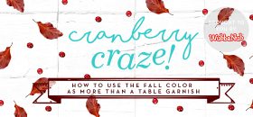 Cranberry Craze: How to Use the Fall Color as More than a Table Garnish